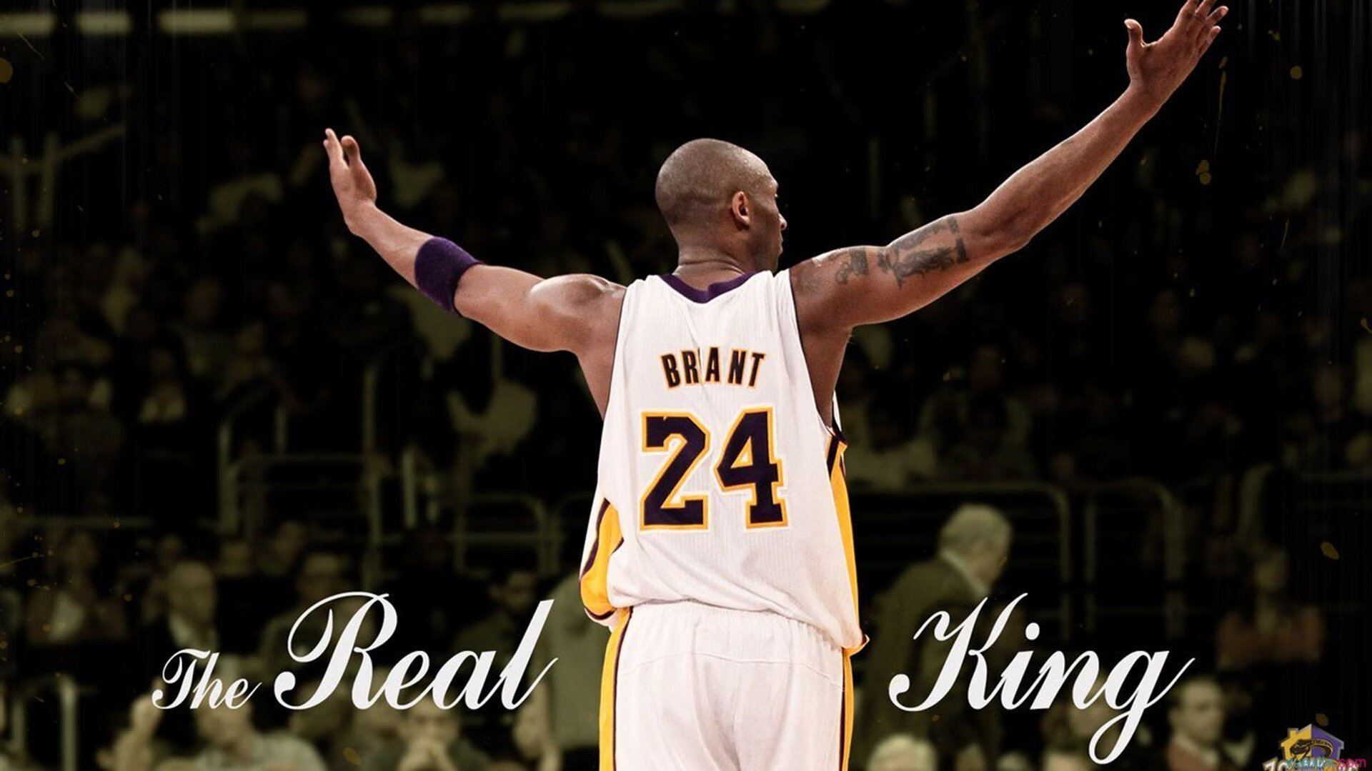 开云体育在线-智利式逆转，德甲争冠焦点战中的南美智慧与奥地利坚韧